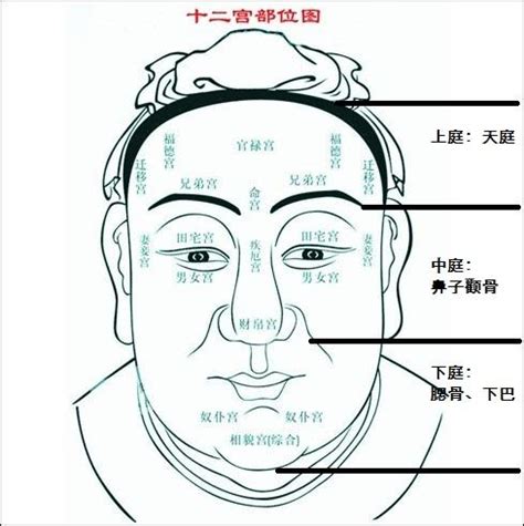 天庭面相|面相学天庭图解 面相学天庭的相法